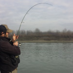 bend rod, canna in piega