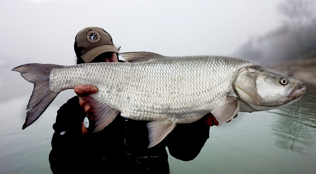 Aspio record big pietro invernizzi