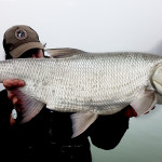 Aspio record big pietro invernizzi