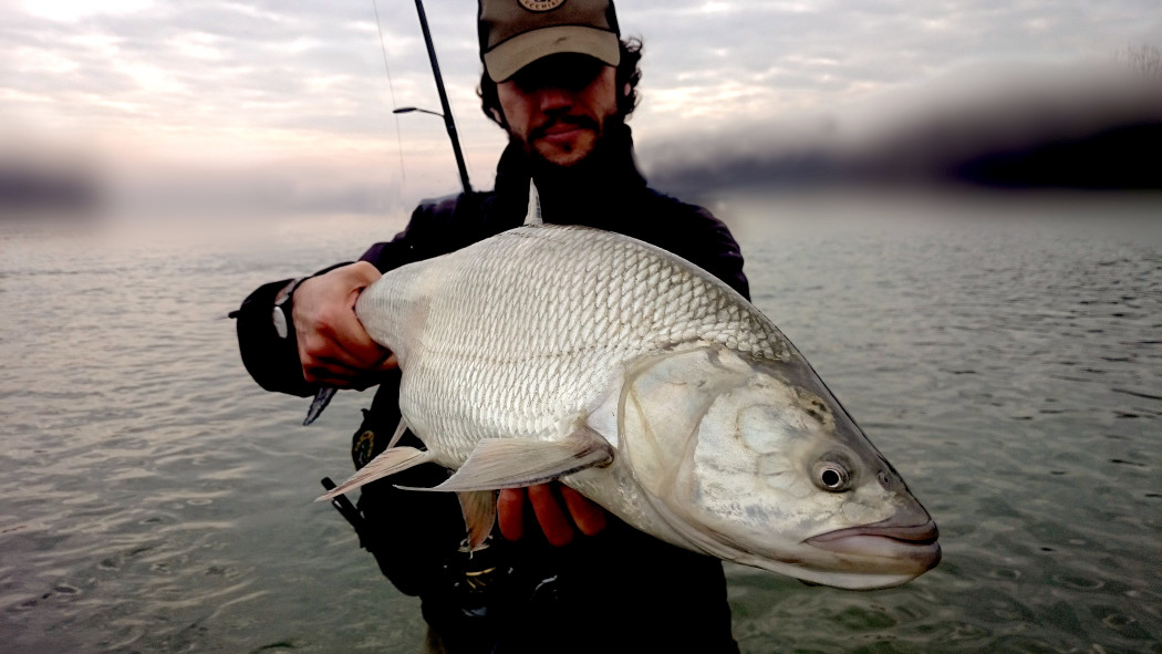 Aspio record big pietro invernizzi