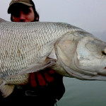 Aspio record big pietro invernizzi