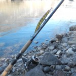 GLoomis Salmon Twin Power e Urban Fishing Lure