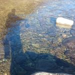 Pescare per pescare . Magia.