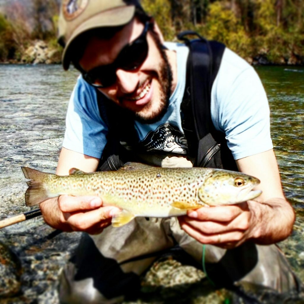 Un ibrido sotto il sole di Primavera