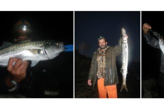 sea_fishing_inshore_spinning