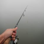 Pescando nella nebbia...