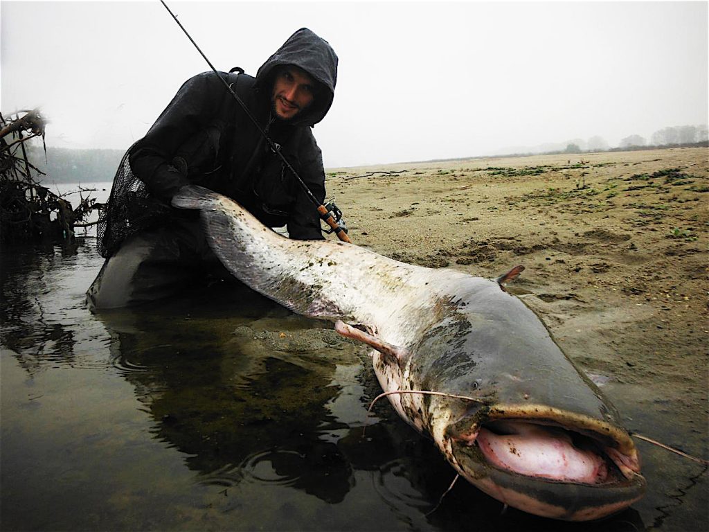 Pietro Invernizzi grande record siluro a spinning da riva wels catfish blackcat