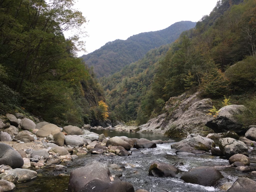 Val Mastallone, "La Selva"