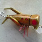 Cavalletta Enriko Project Bait