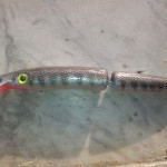 Minnow Enriko Project Bait