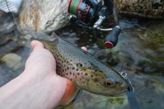 Trota Fario e rapala cd 9