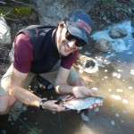 rainbow trout East Carson River