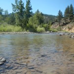 East Carson River