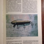 Libro Rapala
