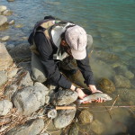 Pietro e un bel temolo