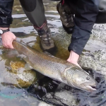 big fish, big trout, trota record, pietro invernizzi
