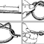 tratto dal sito di moschisti "pipam.org"
