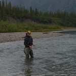 Pescando temolo a mosca secca in Alaska