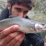 Pietro e un salmerino