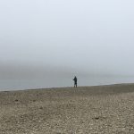 Fishing in the fog...