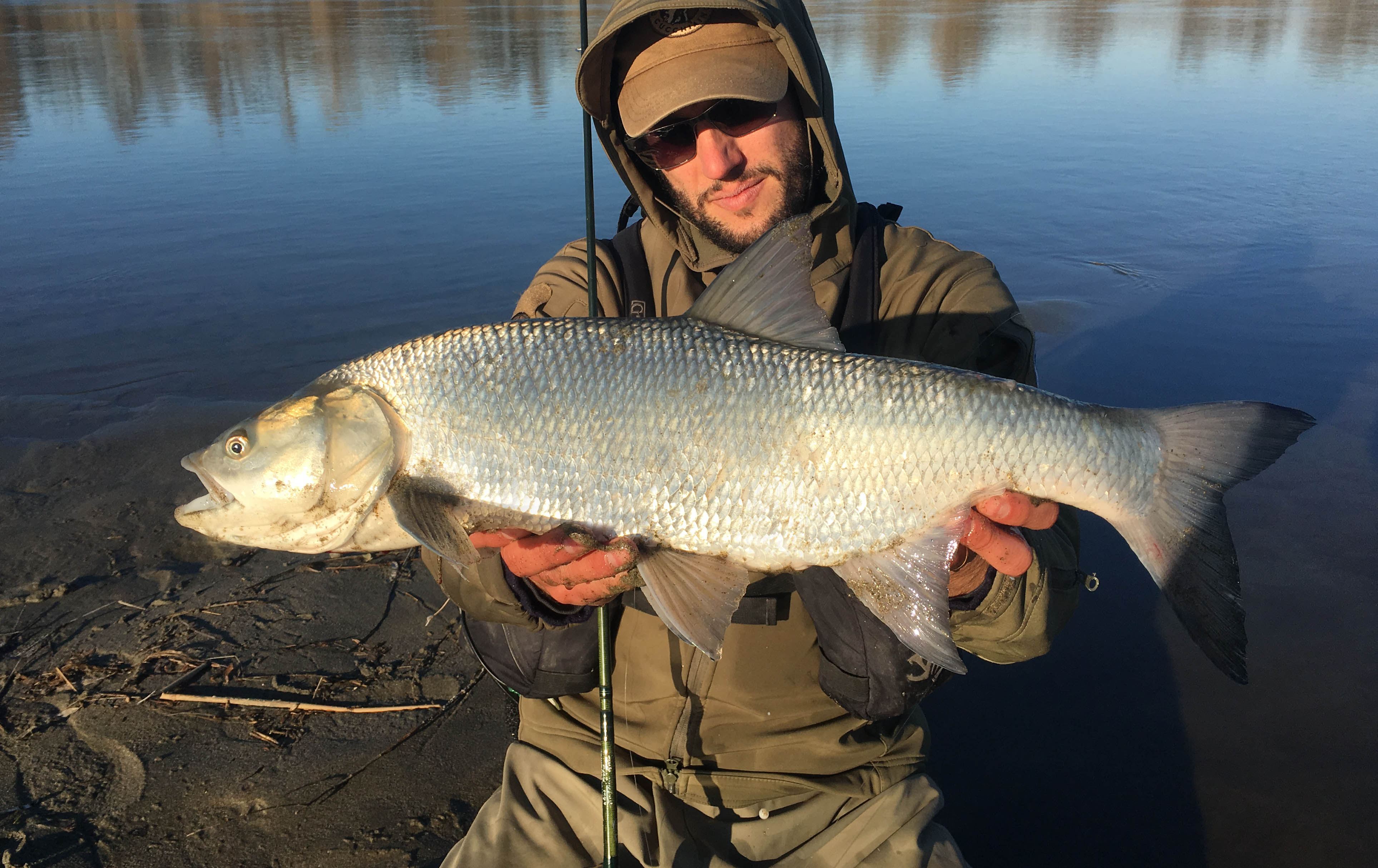 Canne Pesca Spinning Luccio | Confronta prezzi Canne Pesca Spinning Luccio | Confronta prezzi