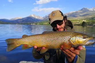Big brown lake trout Pietro Invernizzi